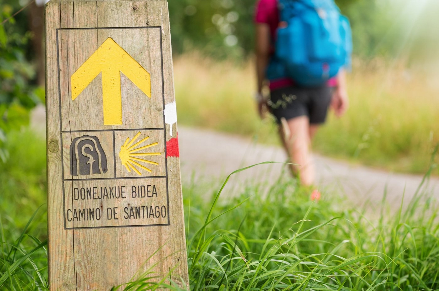 Peregrino reflexionando tras llegar a Santiago de Compostela, símbolo del espíritu peregrino al regresar a casa